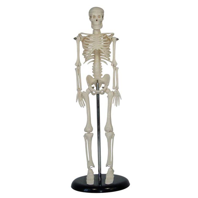wģ42CM