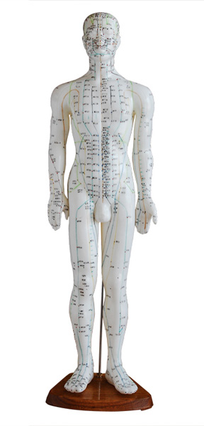 人體針灸模型60CM 人體針灸模型60CM